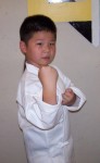 Brodey